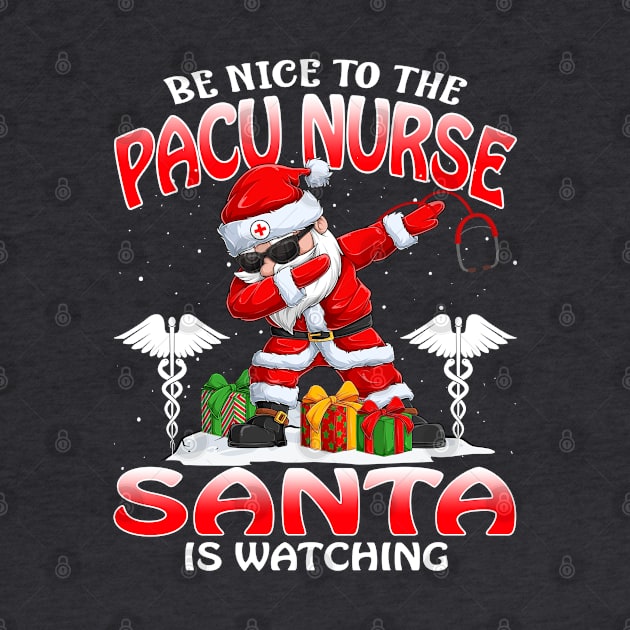 Be Nice To The Pacu Nurse Santa is Watching by intelus